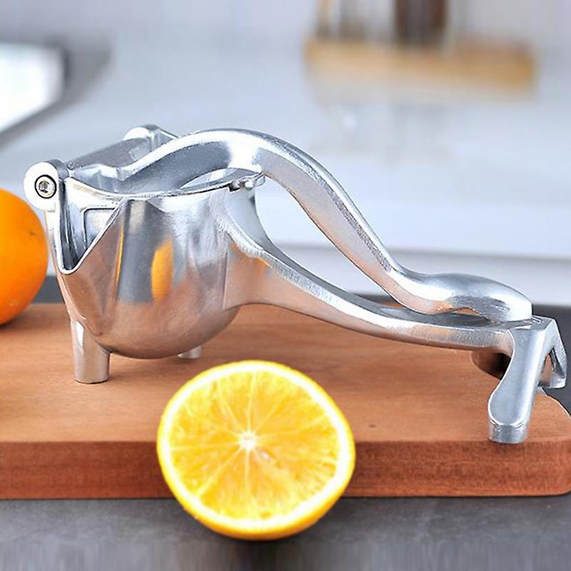 Stainless Steel Fruit Juicer