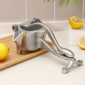 Stainless Steel Fruit Juicer