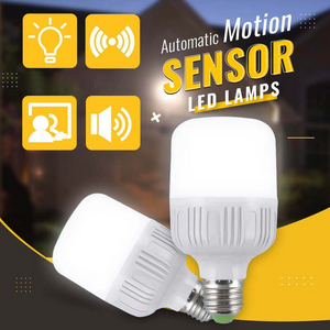 Copy of Motion Sensor Lamp frs